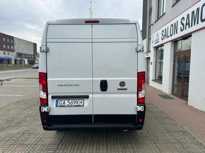 Ducato