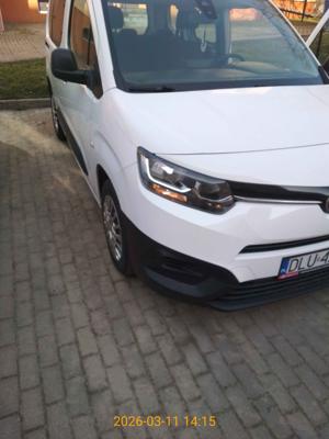 PROACE