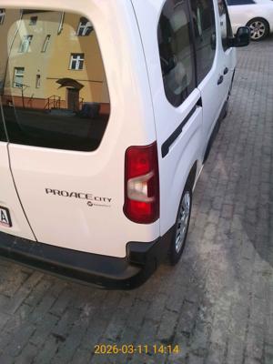 PROACE