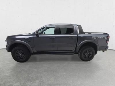 Ranger